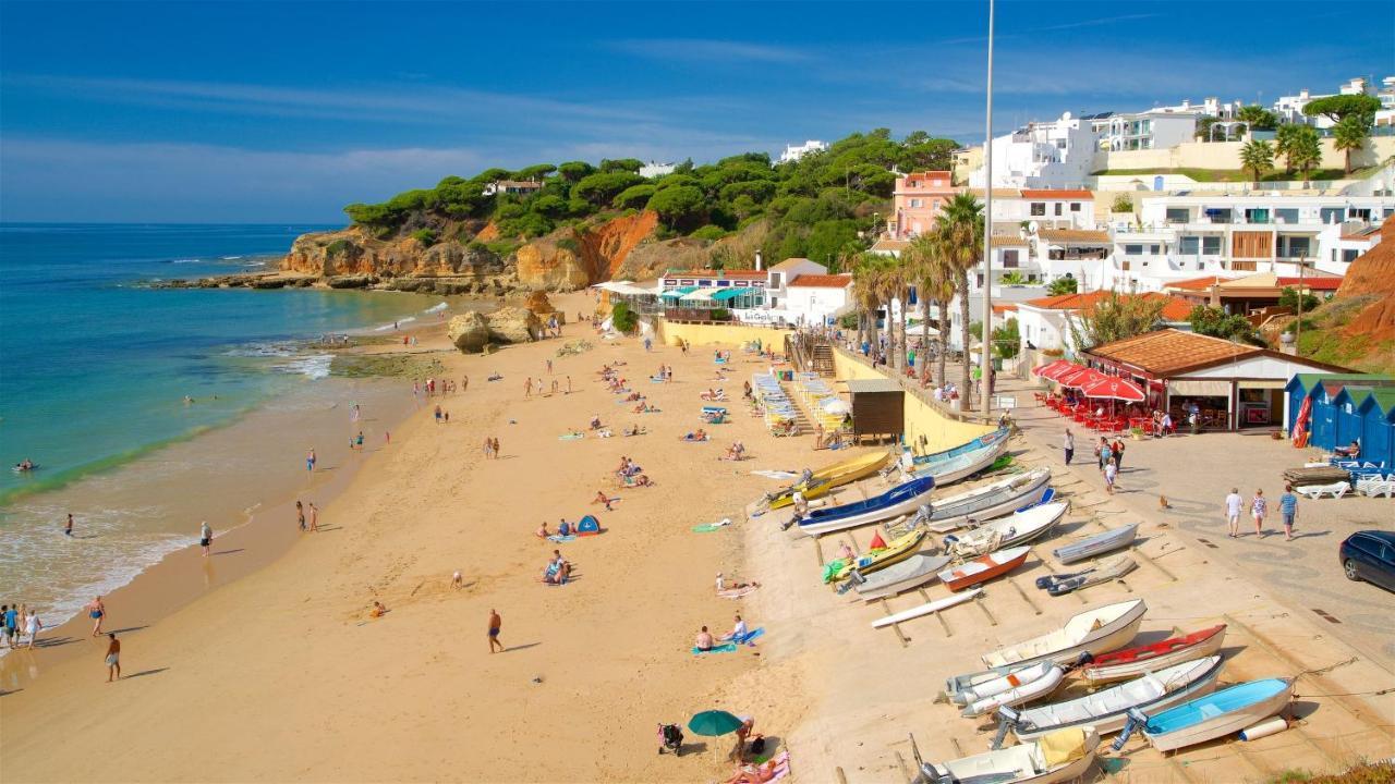 לינה וארוחת בוקר מונקאראפאצ'ו Quinta Pereiro Tropic Garden, Algarve מראה חיצוני תמונה