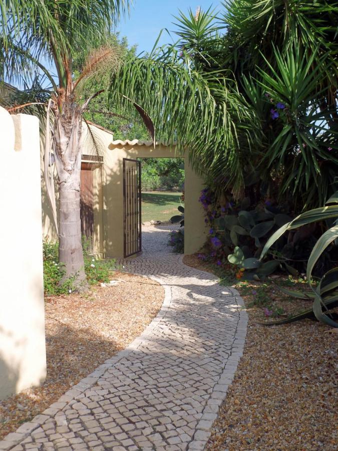 לינה וארוחת בוקר מונקאראפאצ'ו Quinta Pereiro Tropic Garden, Algarve מראה חיצוני תמונה
