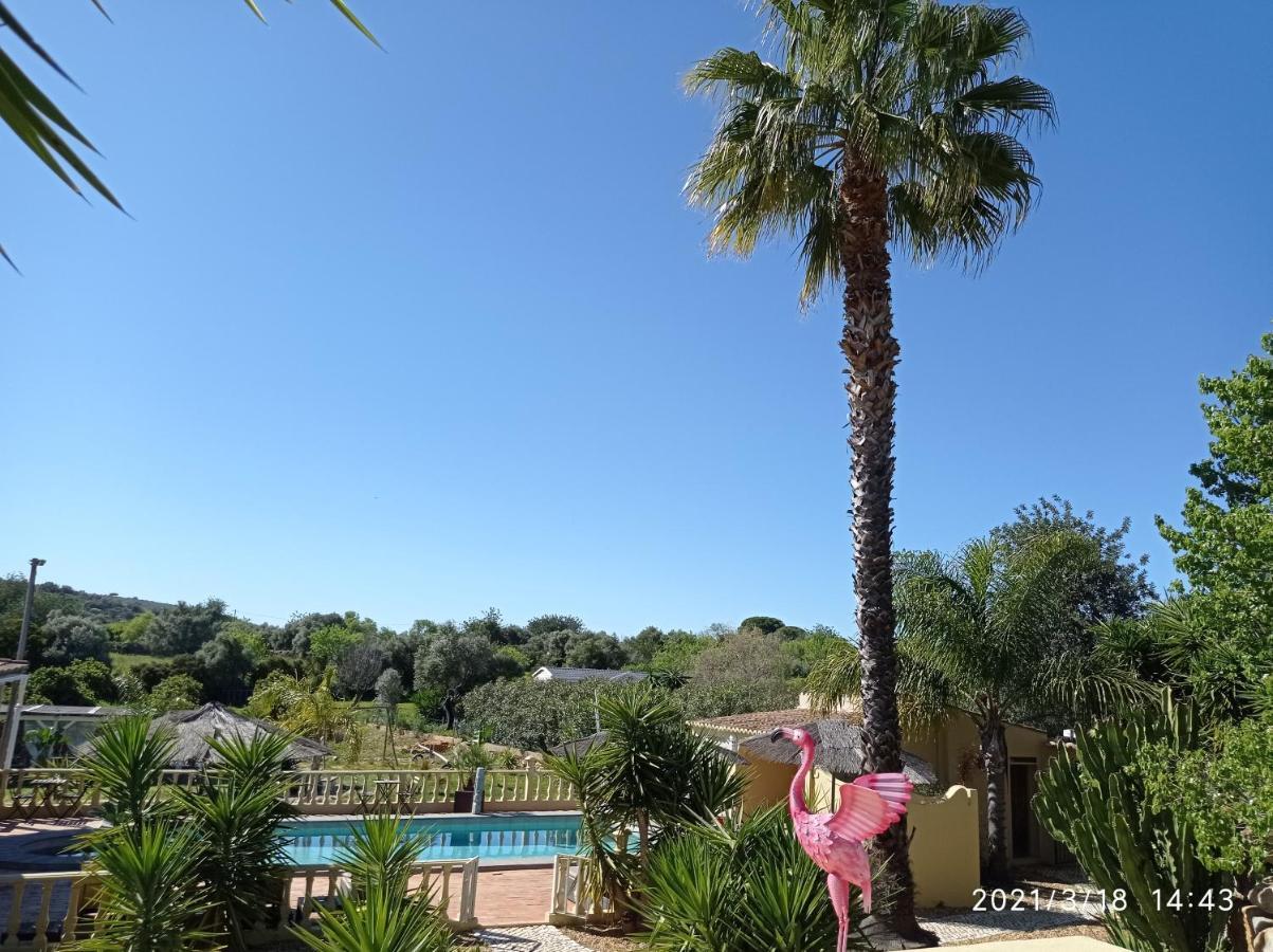לינה וארוחת בוקר מונקאראפאצ'ו Quinta Pereiro Tropic Garden, Algarve מראה חיצוני תמונה