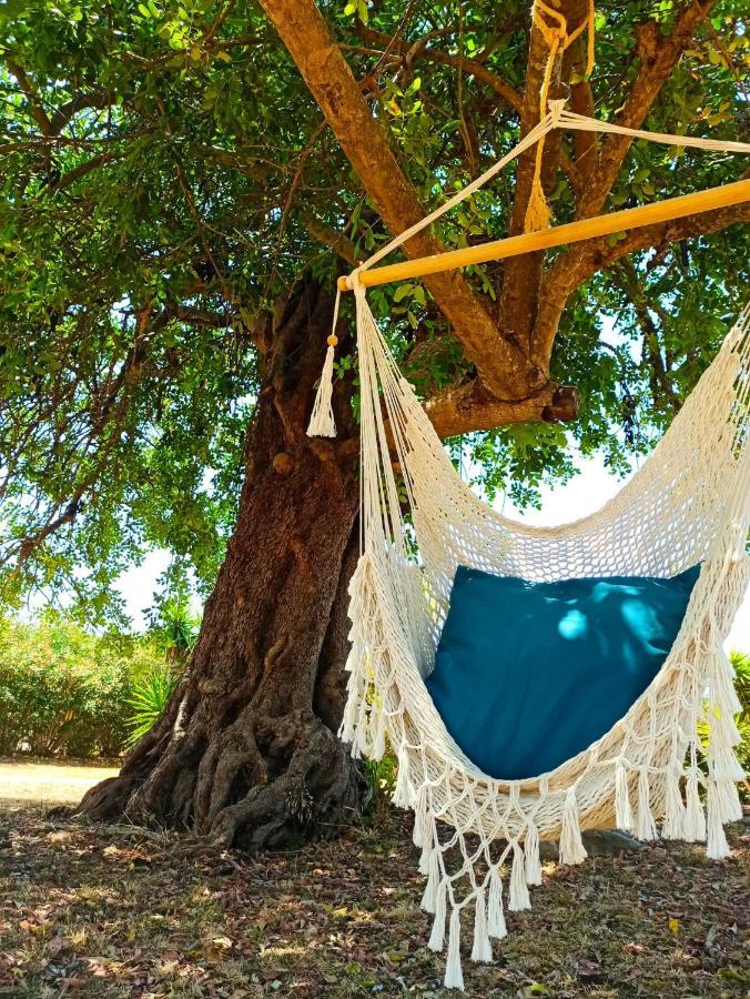 לינה וארוחת בוקר מונקאראפאצ'ו Quinta Pereiro Tropic Garden, Algarve מראה חיצוני תמונה