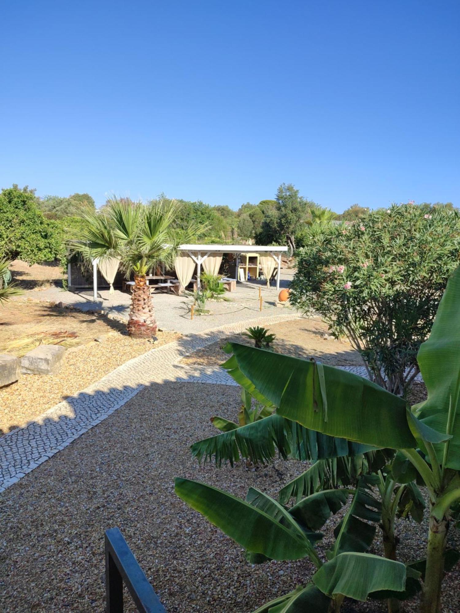 לינה וארוחת בוקר מונקאראפאצ'ו Quinta Pereiro Tropic Garden, Algarve מראה חיצוני תמונה