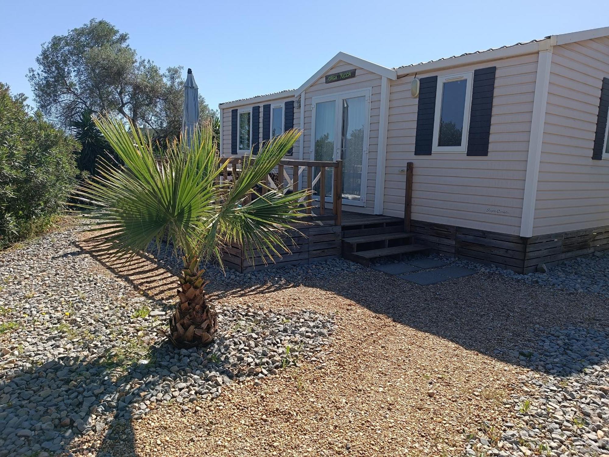 לינה וארוחת בוקר מונקאראפאצ'ו Quinta Pereiro Tropic Garden, Algarve מראה חיצוני תמונה