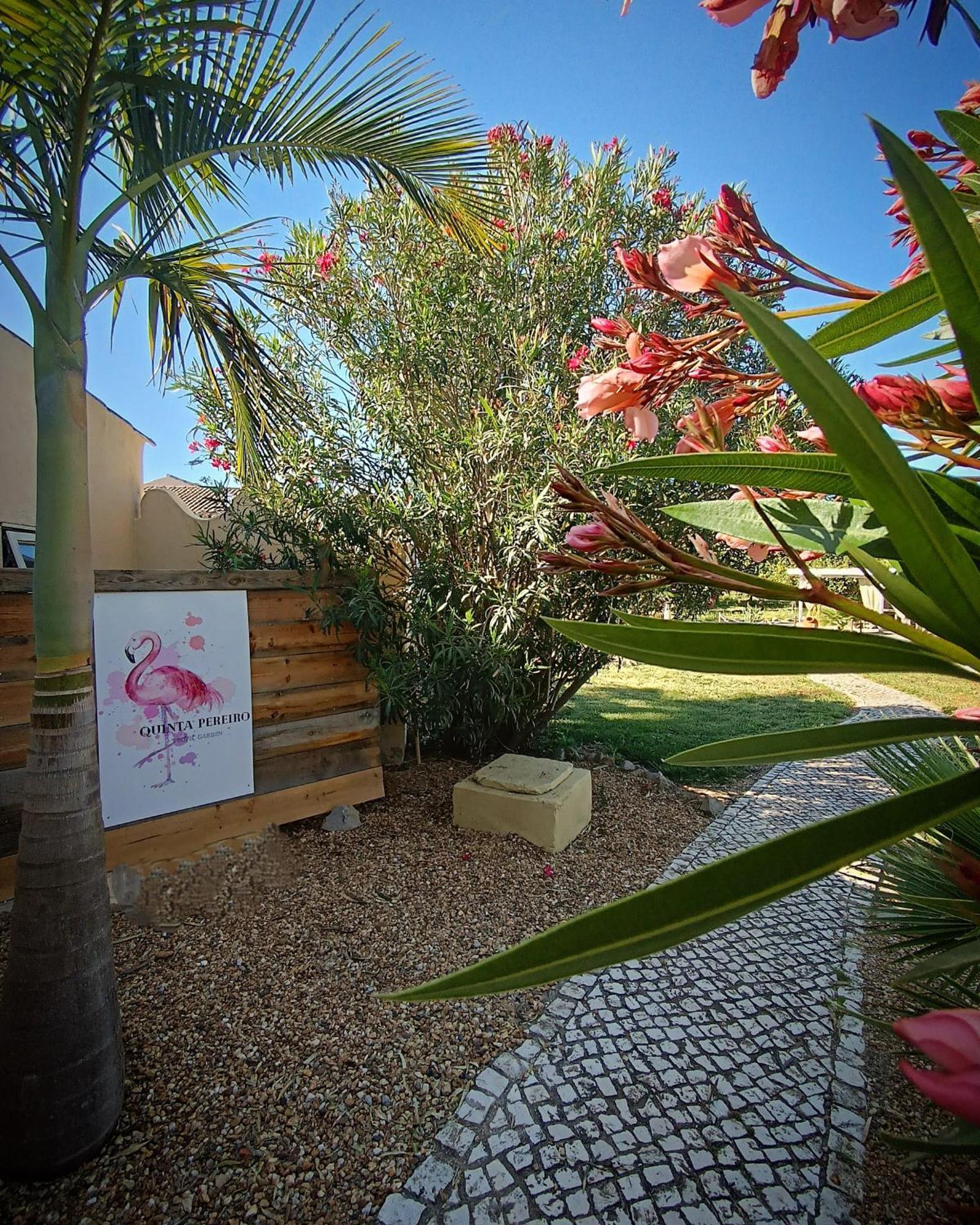 לינה וארוחת בוקר מונקאראפאצ'ו Quinta Pereiro Tropic Garden, Algarve מראה חיצוני תמונה